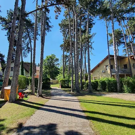 Near In Siofok-balaton 20002 Appartamento *